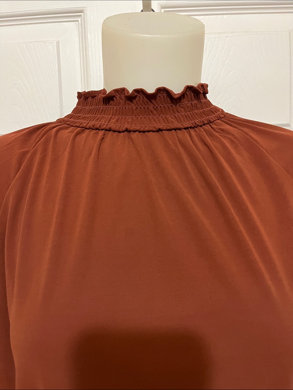 Express Rust Ruffled Mock Neck Long-Sleeve Bodysuit - Picture 5 of 6